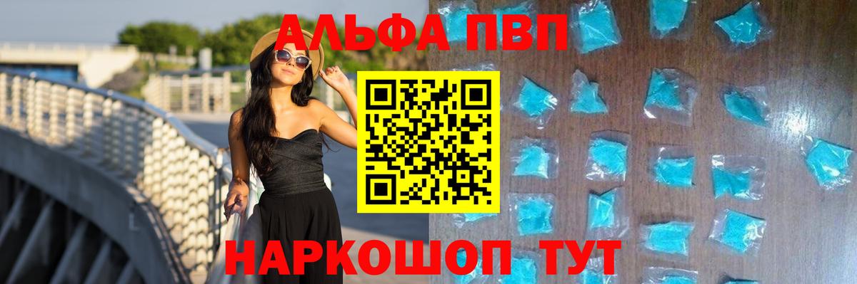 Alfa_PVP СК Тара