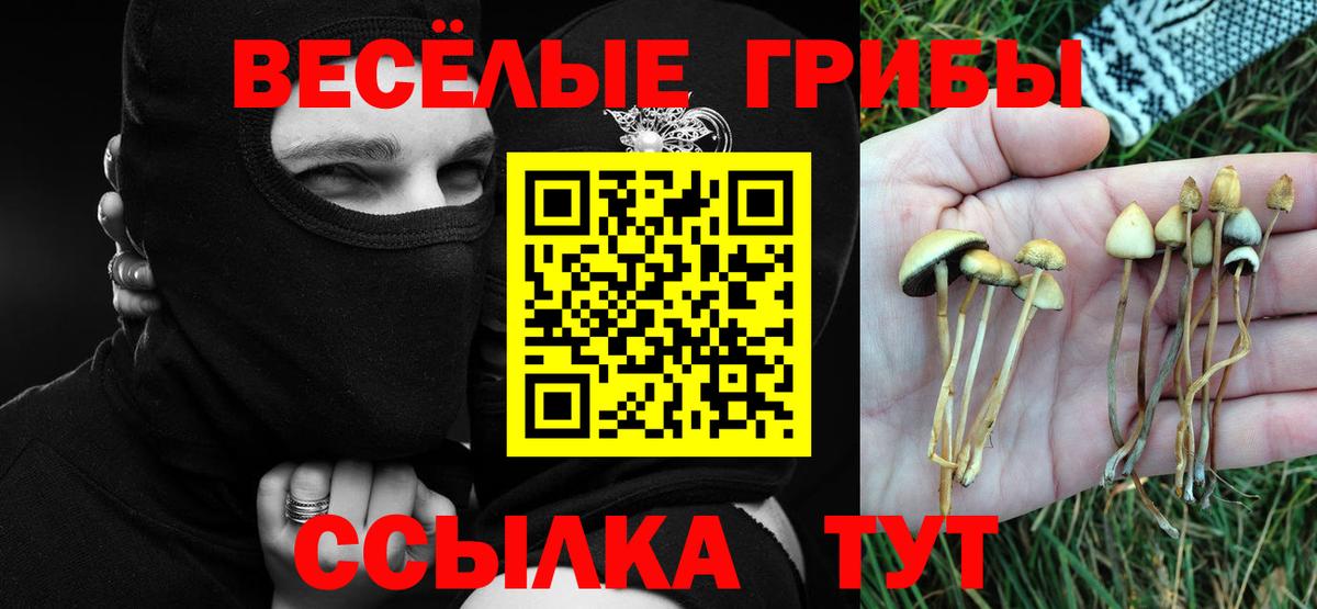 Тара  Галлюциногенные грибы Cubensis  Вход с VPN  Галлюциногенные грибы мухоморы 